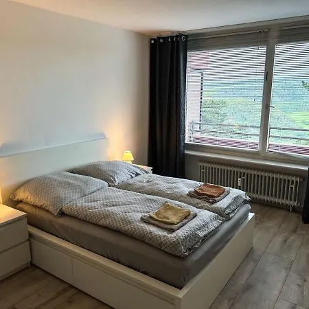 A703, Schoene Und Grosse Ferienwohnung Appartement Lahnstein